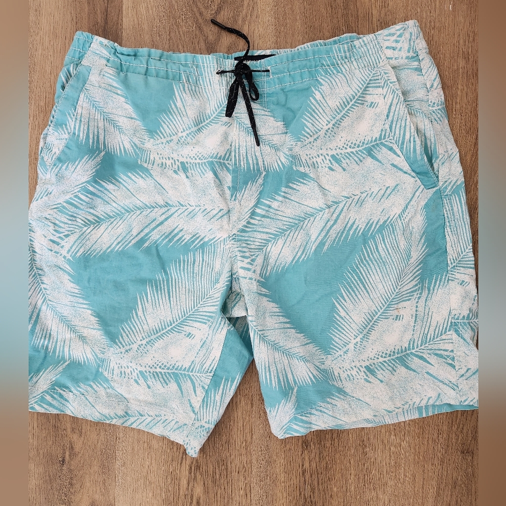American eagle swim trunks